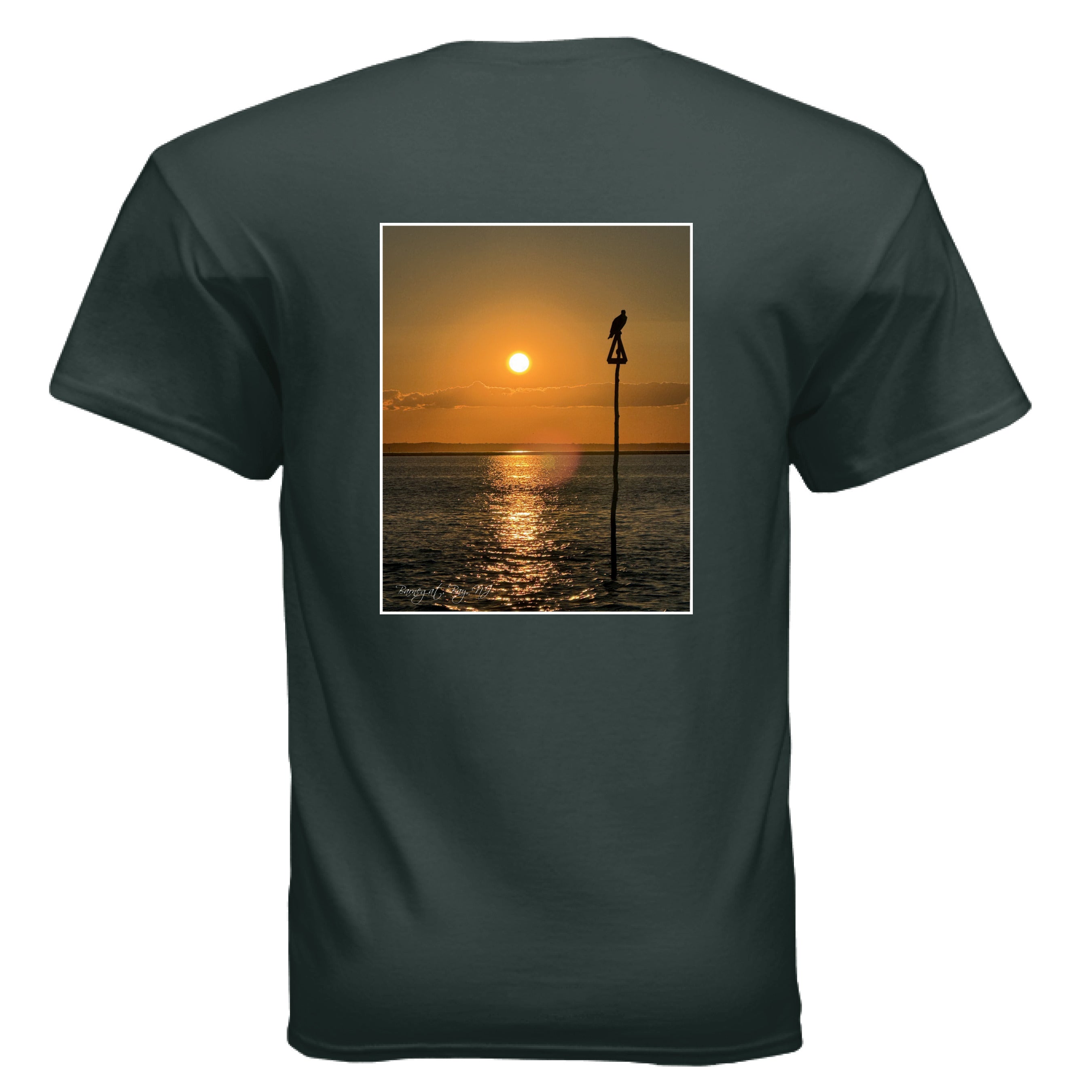 FOREST GREEN - BACK