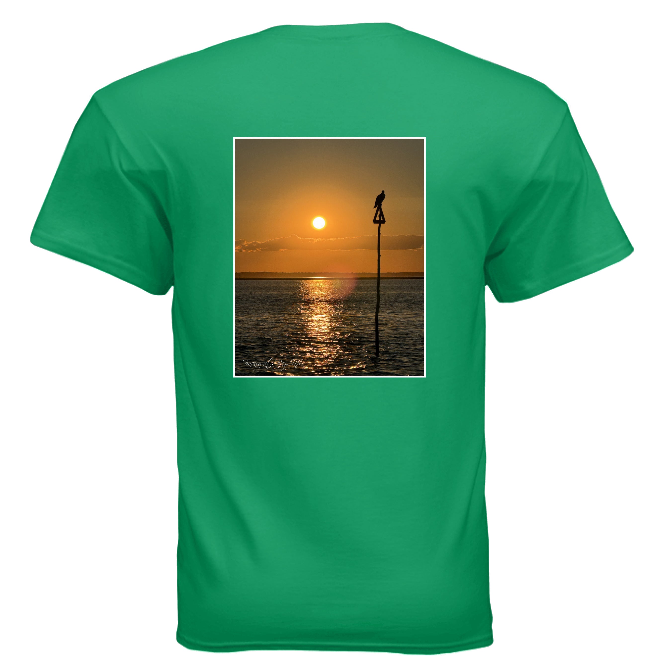 IRISH GREEN - BACK