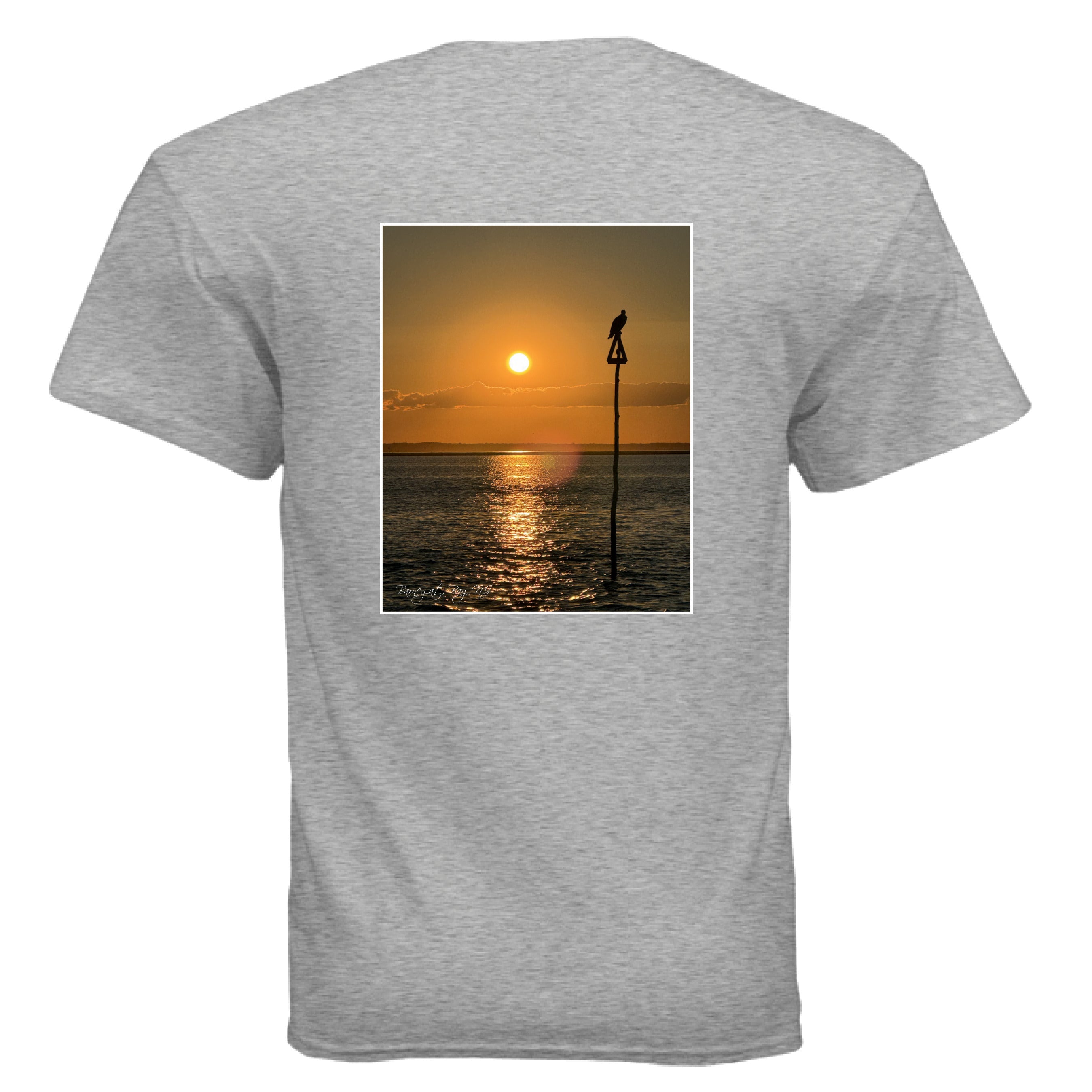 SPORT GREY - BACK