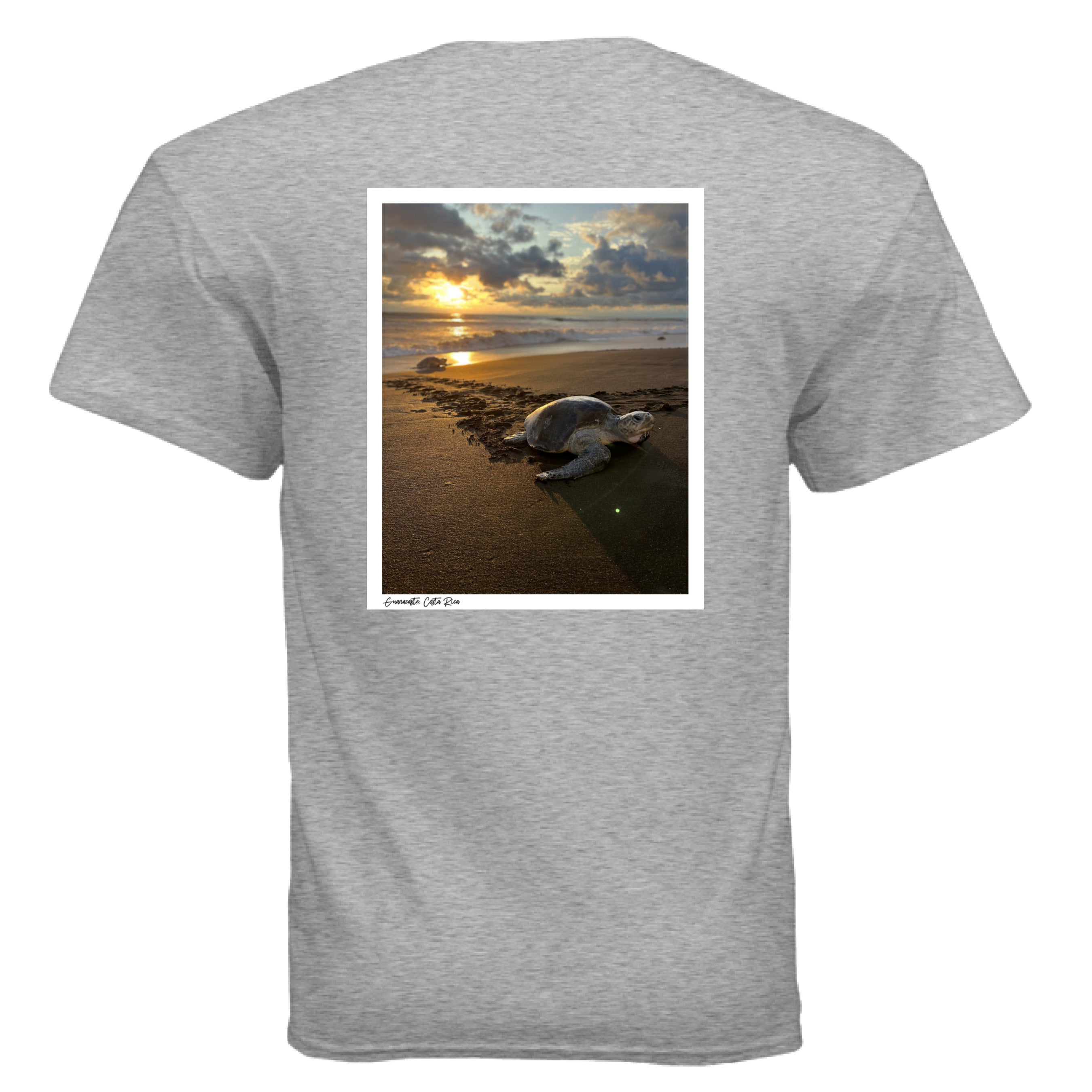 SPORT GREY - BACK